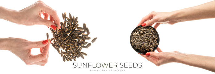 Fototapeta premium Female hand sunflower seeds on a white background isolation