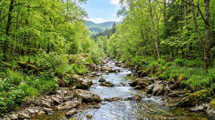 Fototapeta premium Spring forest nature landscape with beautiful stream and river rocks in mountain woodland, serene seasonal scenery for travel, wellness and outdoor branding, fresh greenery, flowing water, bright
