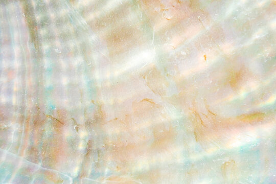 mother of pearl texture with glossy surface for premium branding, jewelry presentations, fashion campaigns, UI backgrounds, and creative digital compositions.
