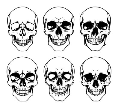 Skull set with simple black line art design featuring bone structure, human anatomy, osteology with skeletal elements and ominous symbolism