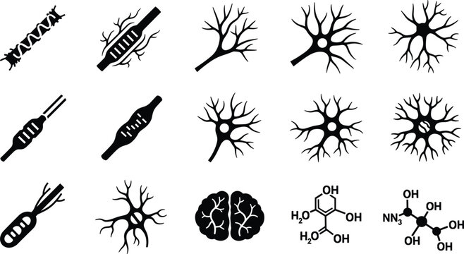 Neuron and Nerve Cell Icons Set (Biology Illustration)