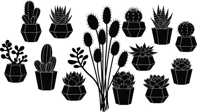Succulent and Cactus Plant Icons Set
