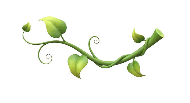 Green Vine with Leaves and Tendrils.