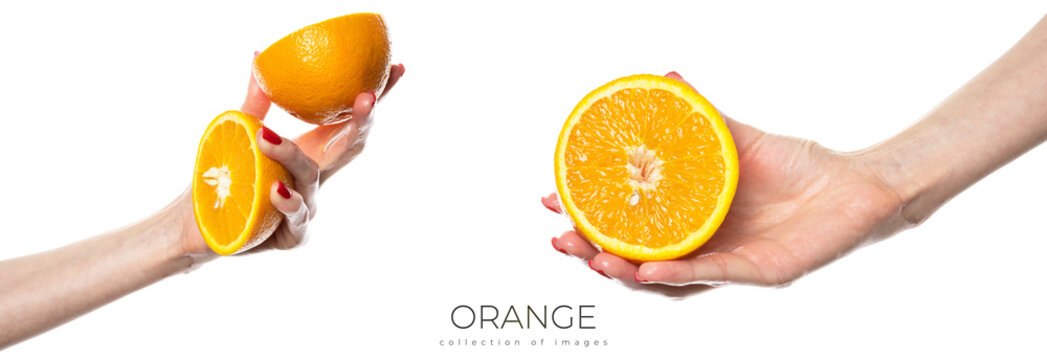 The girl's hand holds a cut round slice of fresh tropical orange. An orange in a woman's hand on a white background is isolated. Orange slice. The girl gently holds a citrus in hand