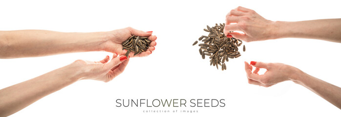 Fototapeta premium Female hand sunflower seeds on a white background isolation