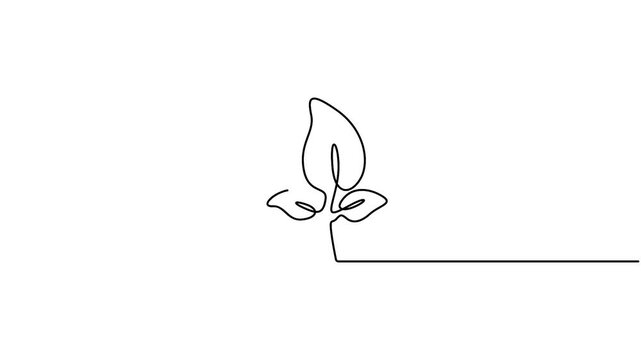 Plant sprout vector design in animated minimalist continuous line drawing style. Minimalist one line animation of a growing sprout, ideal for ecology and sustainability concepts.