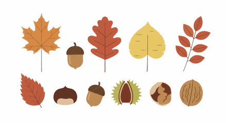 Autumn Leaves and Acorns Collection. © Truk