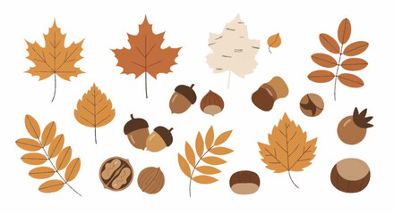 Autumn Leaves and Nuts Collection. © Truk