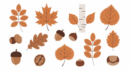 Autumn Leaves and Nuts Collection - Vibrant Fall Foliage and Harvest Elements. © Truk