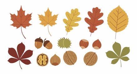 Autumn Leaves and Nuts Collection - Vibrant Fall Foliage and Harvest Elements. © Truk