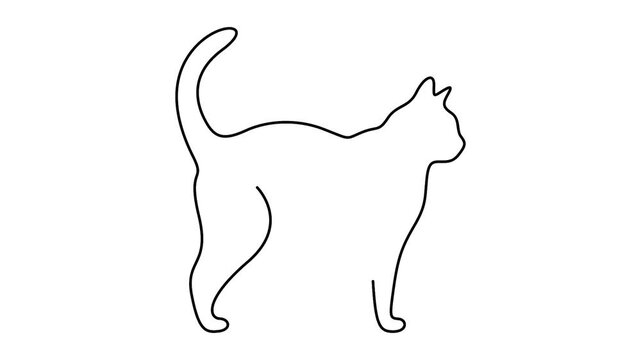 Self animated minimalist, continuous line drawing of a cat 