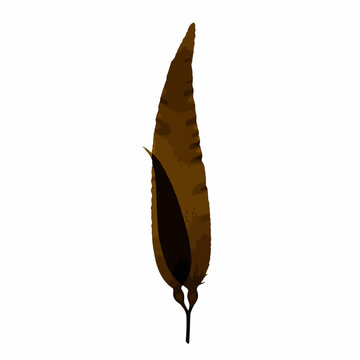 Minimalist illustration of a single, dark brown kelp frond, capturing the natural simplicity and graceful form of an ocean plant