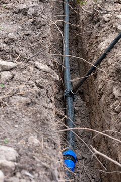 A black HDPE water pipe being installed in a narrow trench in the ground. The photo shows a blue compression coupling and a service saddle connection for a branch line.