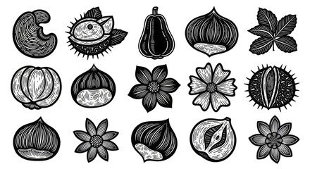 Collection of Hand-Drawn Nuts and Flowers in Engraving Style. © Berkah