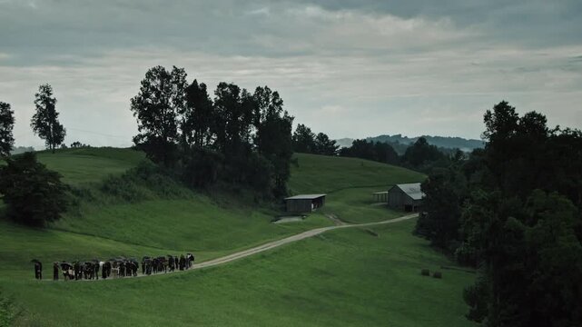 Traditional Amish community walking in a funeral procession on a country road during a cloudy day