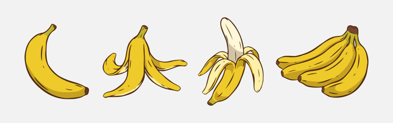 Set colored hand drawn vintage of various banana. A single whole banana, banana peel, peeled banana, and bunch of bananas. Vector illustration. © Irkhamsterstock