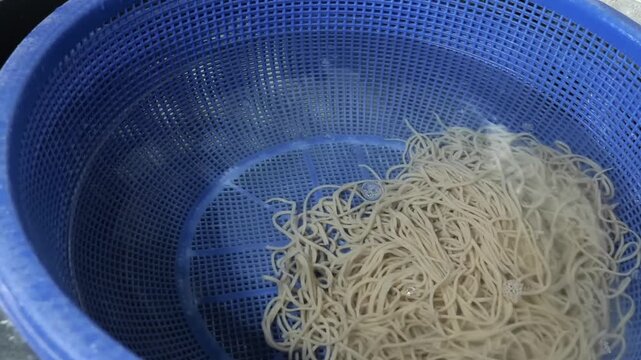 close-up shot of a chef using a traditional wire mesh strainer to lift and drain buckwheat soba noodles from a large blue basin. The footage captures the steam and water drainage, highlighting the aut