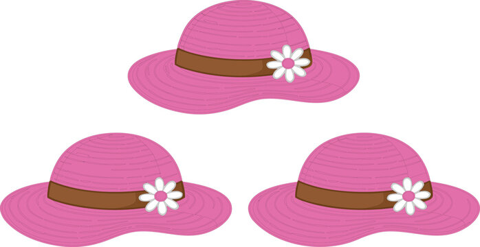 Pink summer hat vector illustration with wide brim straw hat and flower decoration set