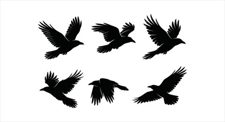 Obraz premium Collection of Majestic Raven and Crow Silhouettes in Various Flight Poses on White