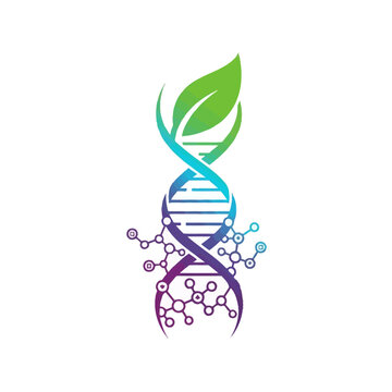 DNA helix with green leaf and molecular structures.