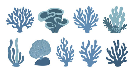 Collection of various blue coral reef underwater plants. © Nabih