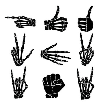 Skeleton Hands Gestures Set: Thumbs Up, Peace, Rock On, Pointing, Fist