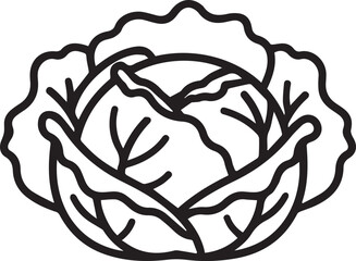 Obraz premium Fresh head of cabbage outline icon for healthy diet and cooking