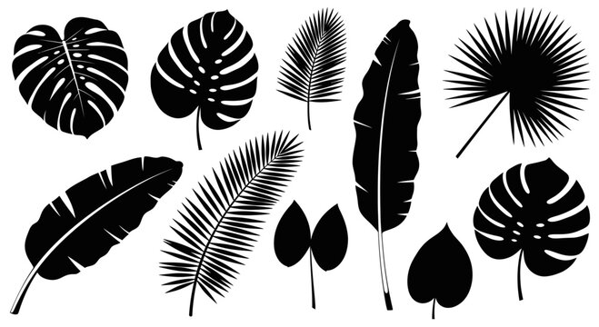 Tropical Leaves Silhouette Collection - Exotic Plant Vector Icons