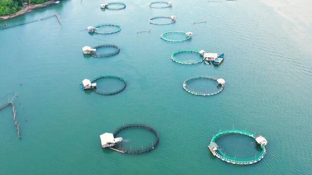 Fisheries on Luzon Island, Philippines. Fish farm, top view. Aerial view of fish ponds for bangus, milkfish.
