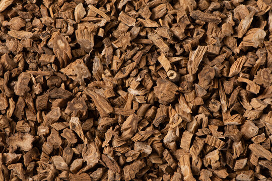 Dried gentian root creating traditional herbal medicine background