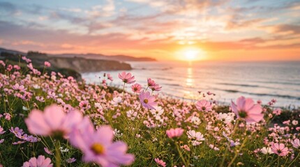 Obraz premium Sunset Over Blooming Ocean Flowers