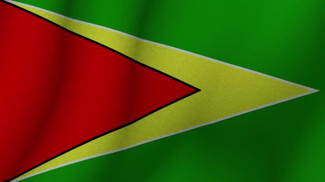 The flag of Co-operative Republic of Guyana. The evolving Guyana flag in 3d format. 1080p HD animation for presentation