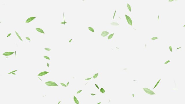 Flying Green leaves over black background. Element Overlay, Flying Green leaves over black background. Element Overlay, eaf falling.
Green Leaves flying with Alpha Channel,
