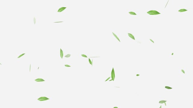 Flying Green leaves over black background. Element Overlay, Flying Green leaves over black background. Element Overlay, eaf falling.
Green Leaves flying with Alpha Channel,
