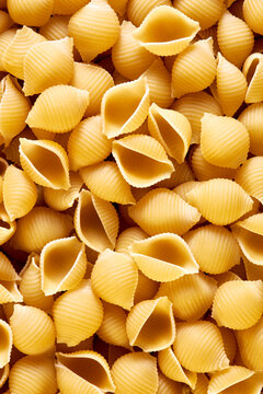 Dried Pasta Shells Vertical Shot
