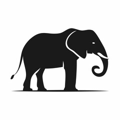 Fototapeta premium Silhouette of an African Elephant
