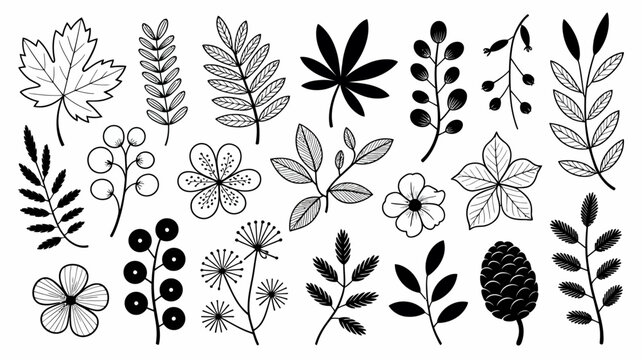 A collection of diverse botanical illustrations showcases various leaves flowers and plant elements in a detailed black and white style high quality professional modern elegant stylish