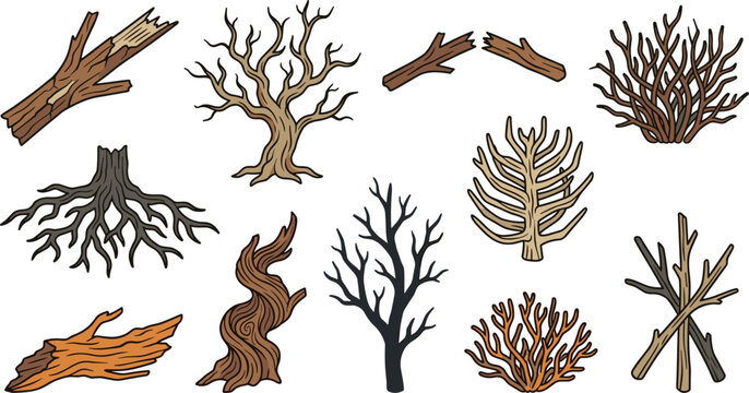 Dead Tree and Dry Branch Vector Set with Roots Driftwood Twigs and Forest Elements