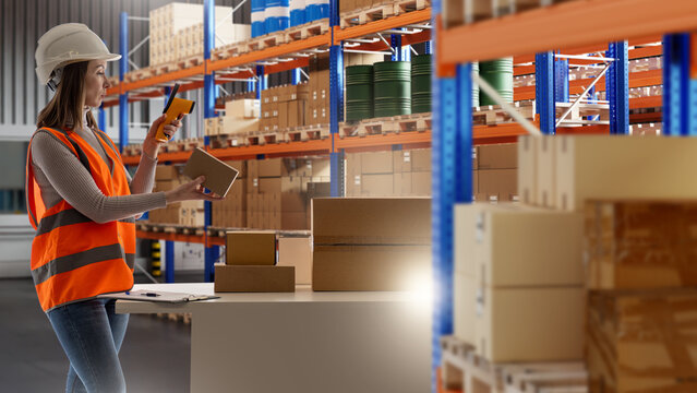 Warehouse logistics. Female worker scans cardboard boxes and checks inventory on storage racks during order processing and shipping.