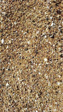 blurry colorful beach sand mixed with tiny shells and pebbles