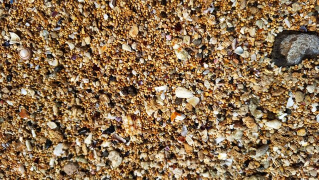 colorful beach sand mixed with tiny shells and pebbles