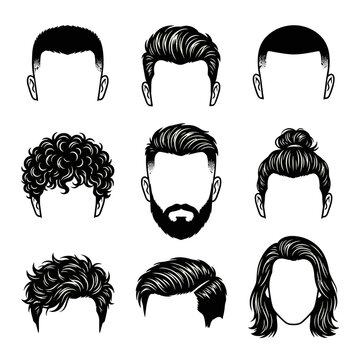 Concept of diverse hairstyles for men. Illustrated collection of modern, classic, trendy cuts like fades, curly styles, and updos. Perfect for design inspiration