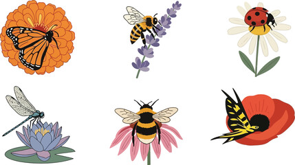 Collection of colorful insects and flowers including monarch butterfly bees ladybug and dragonfly in a flat design style for nature and summer concepts © Ali