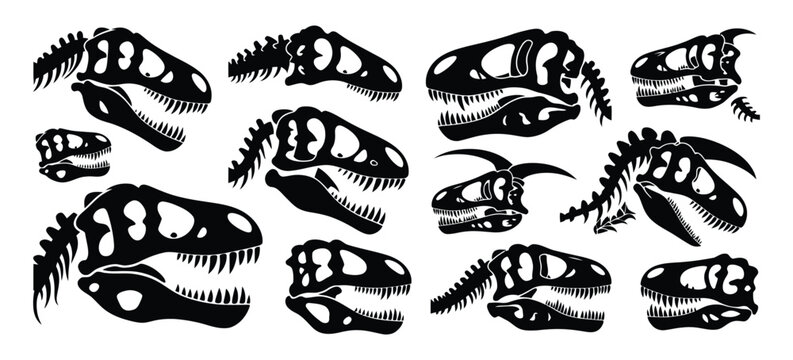 Fossil Dinosaur Silhouette Set with Dino Skull and Teeth, Bone Skeleton Print Graphics of Diplodocus, Velociraptor, Stegosaurus, Triceratops, Allosaurus, Parasaurolophus, and Tyrannosaurus