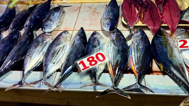 Close up of the fresh skipjack tuna fishes in Catangnan Siargao