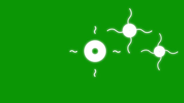 Circle fireworks burst explosion line animation with glowing radial pop up blast and ribbon sparks, motion graphics in After Effects on green screen background for video titles 4K