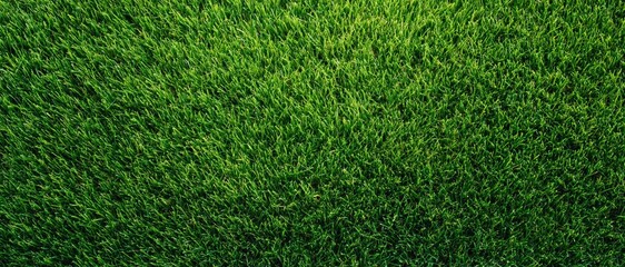 Obraz premium High resolution close up texture of fresh green grass field for natural background. High quality photo