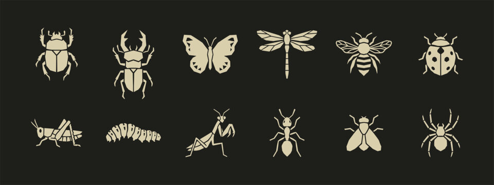 Set of geometric insect icons including butterfly bee spider dragonfly and beetle silhouettes on black