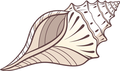 Realistic Ocean Conch Shell Illustration. Authentic Tropical Sea Snail Shell. Detailed Marine Spiral Conch Asset. Natural Coastal Seashell Specimen Design. Exotic Mediterranean Conch Shell Isolate © S43
