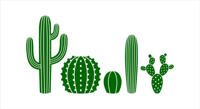 Set of various green cacti and succulent plants on a white background